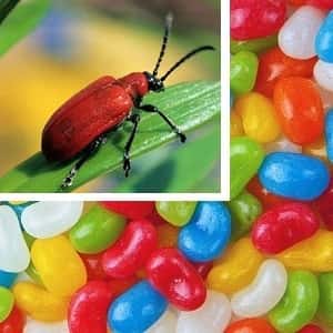 Самые отвратительные пищевые добавки